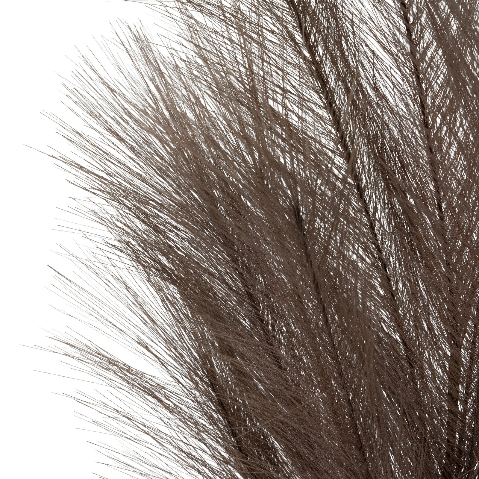 Grey Faux Pampas Grass Stem - Image 3
