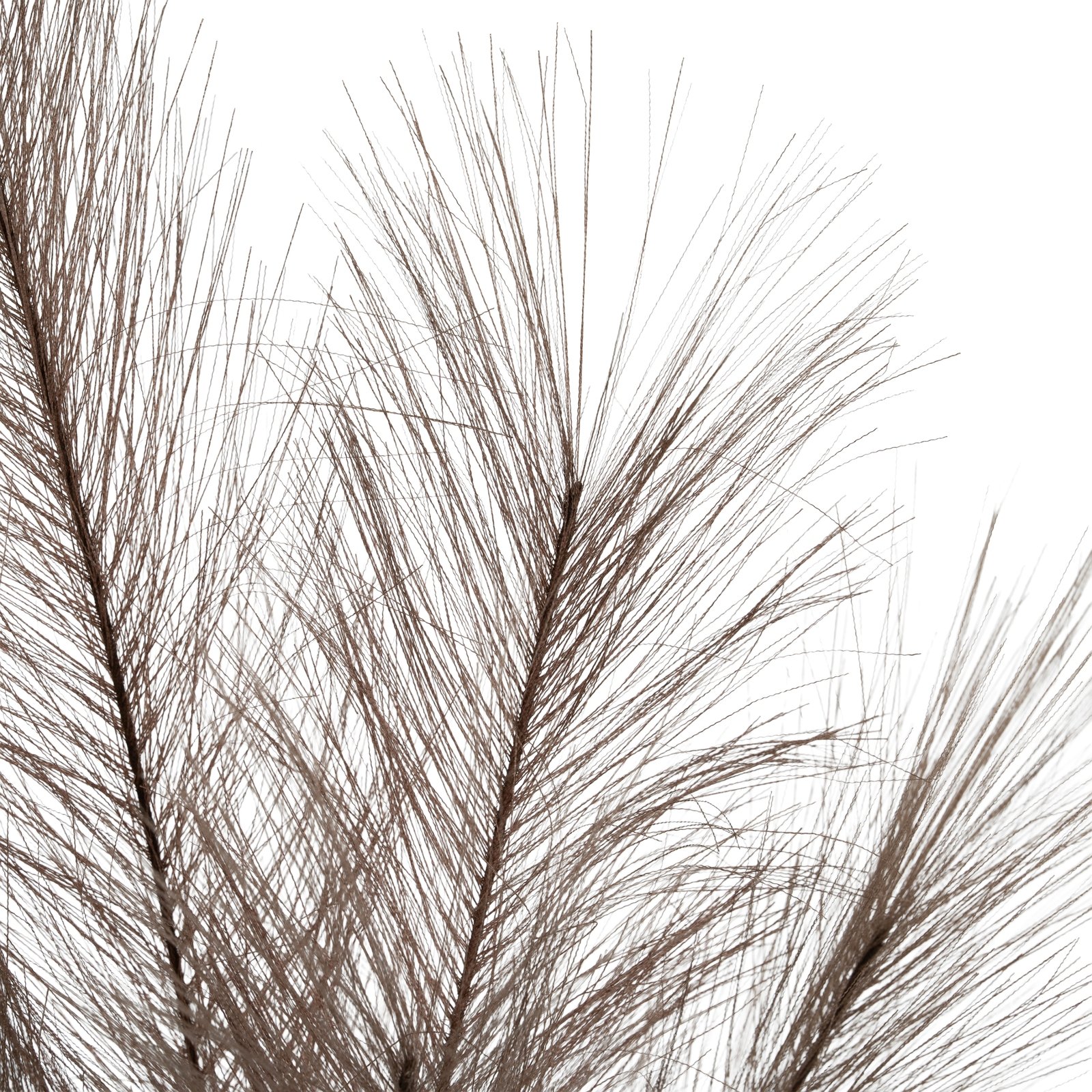Grey Faux Pampas Grass Stem - Image 4