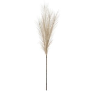 bleached bleached large faux pampas grass stem