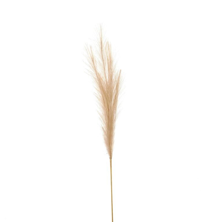 bleached bleached faux pampas grass stem