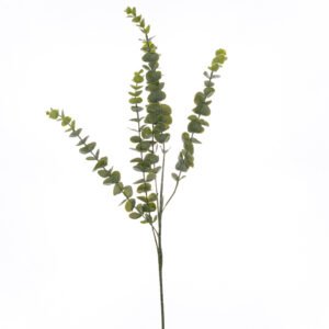 natural gunnii eucalyptus spray