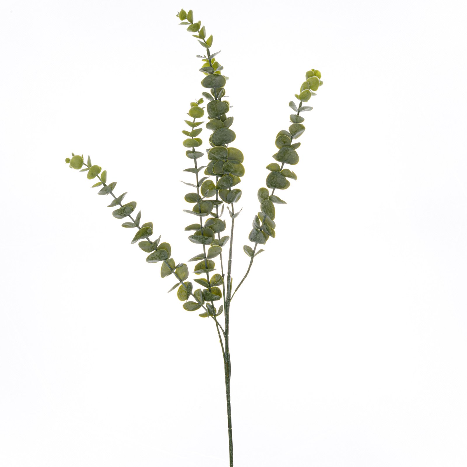 natural gunnii eucalyptus spray