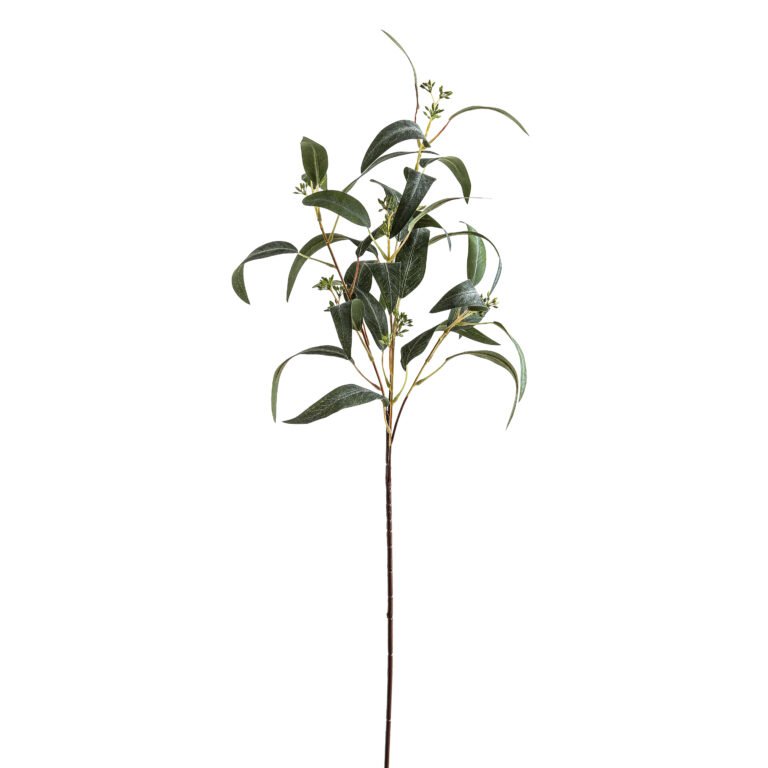 natural seeded eucalyptus spray
