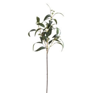 natural seeded eucalyptus spray