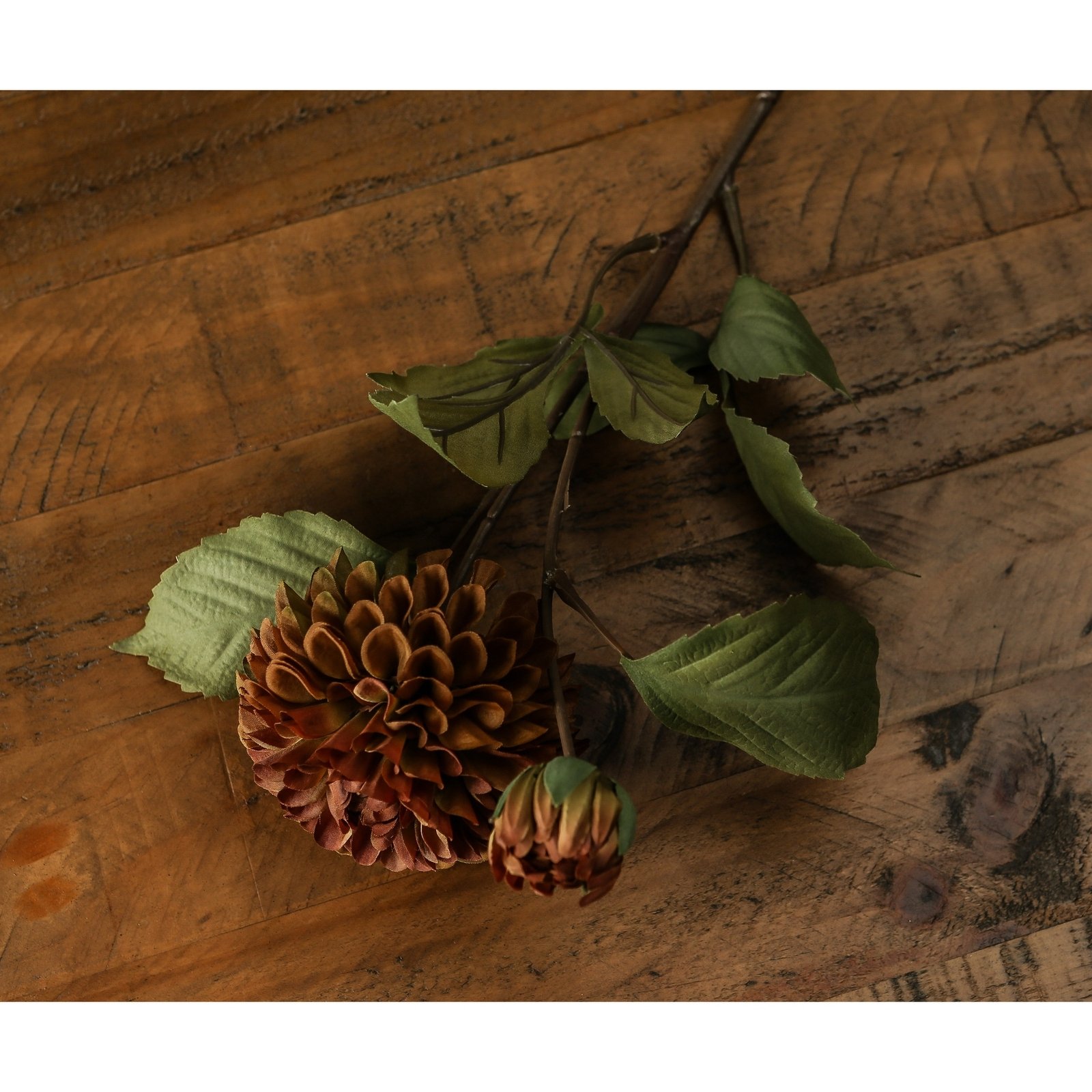 Deep Mustard Dahlia Stem - Image 5