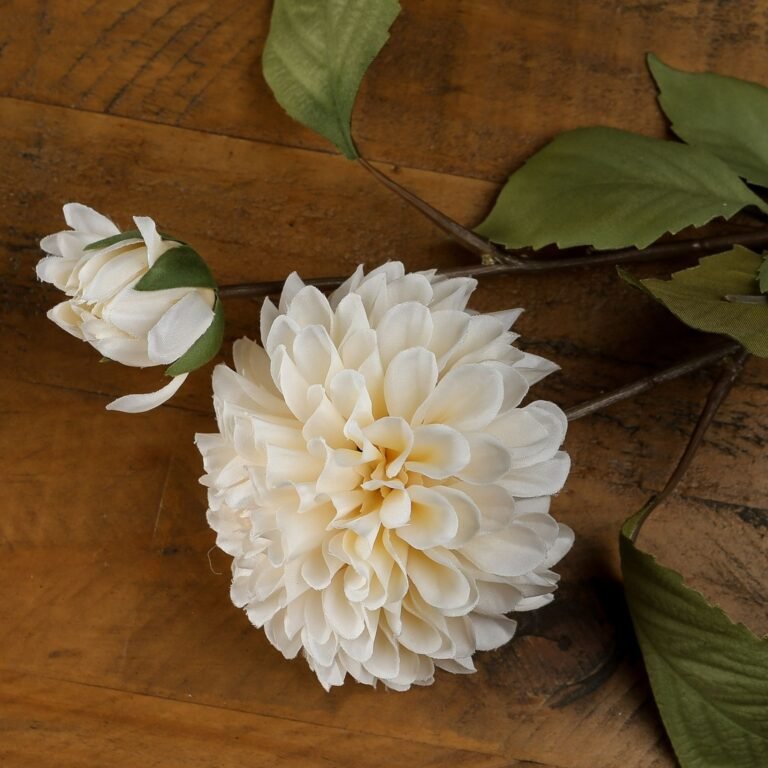 white white dahlia stem