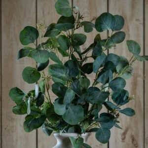natural eucalyptus stem spray
