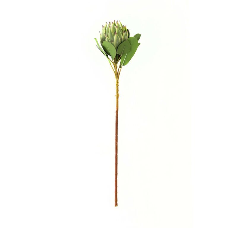 green large green protea