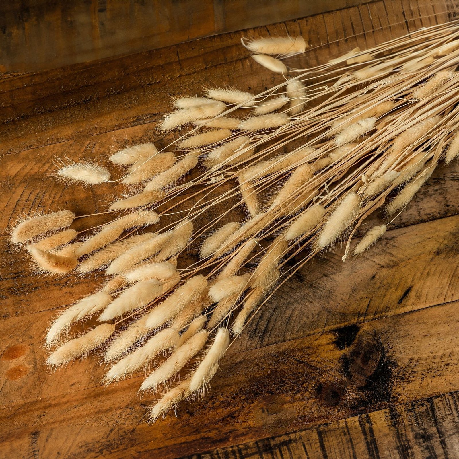 Bouquet of Tall Bunny Tails - Image 3