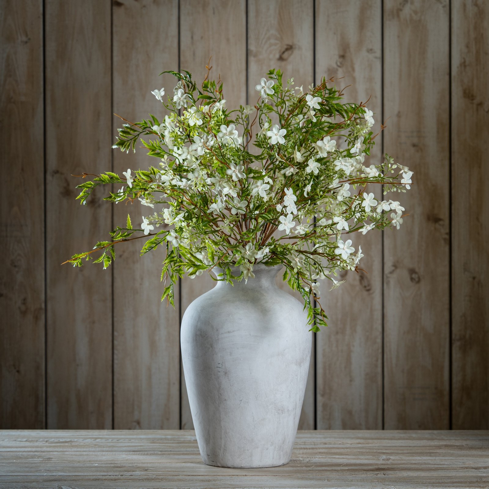 Italian White Bellflower - Image 2