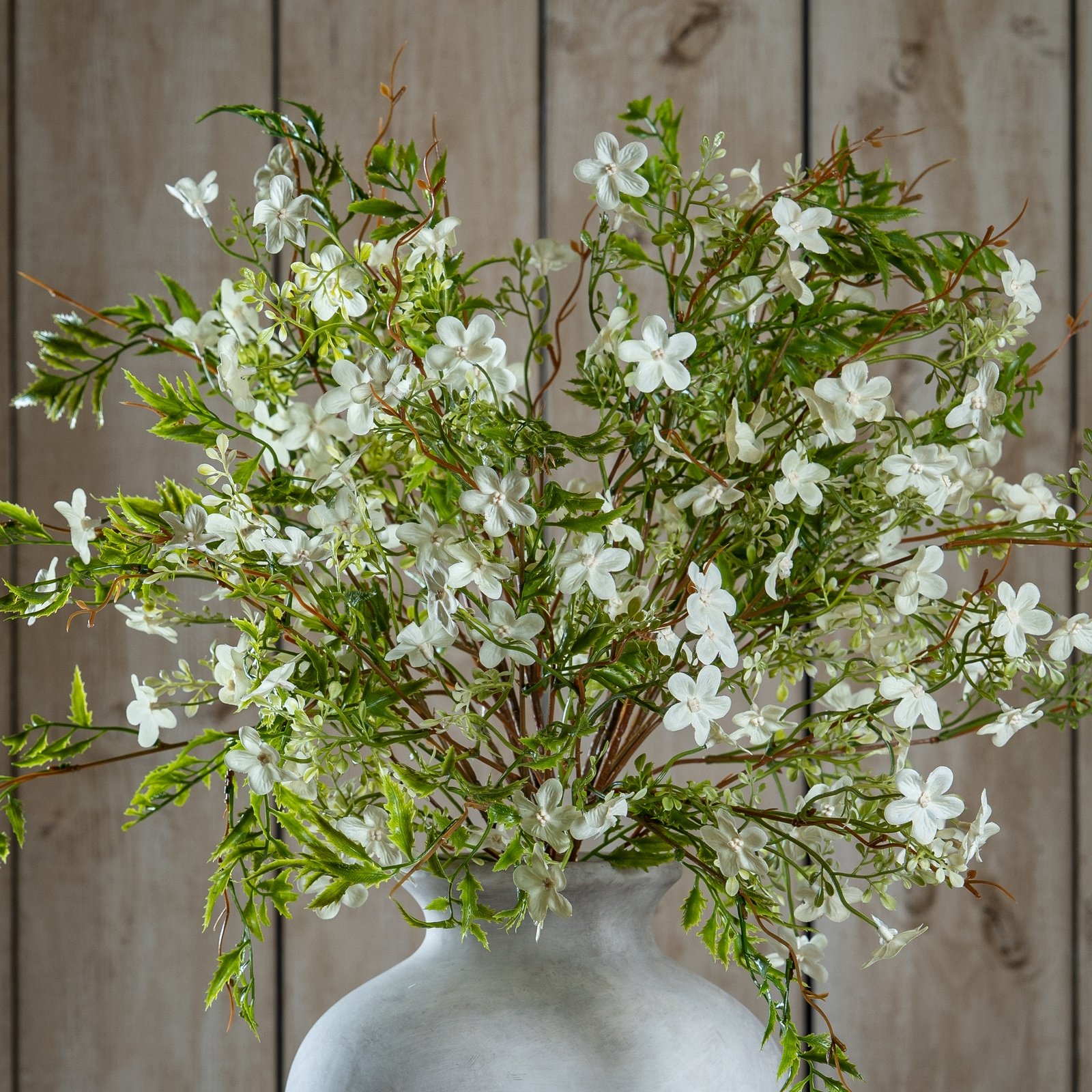 white italian white bellflower