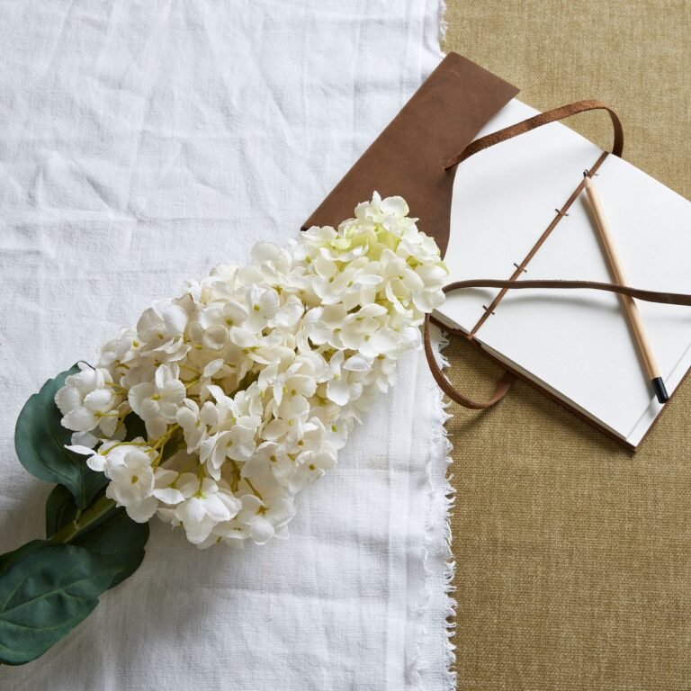 white white spear hydrangea