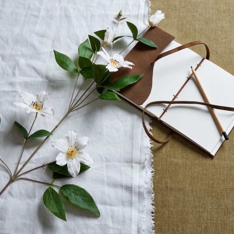 white white florida clematis