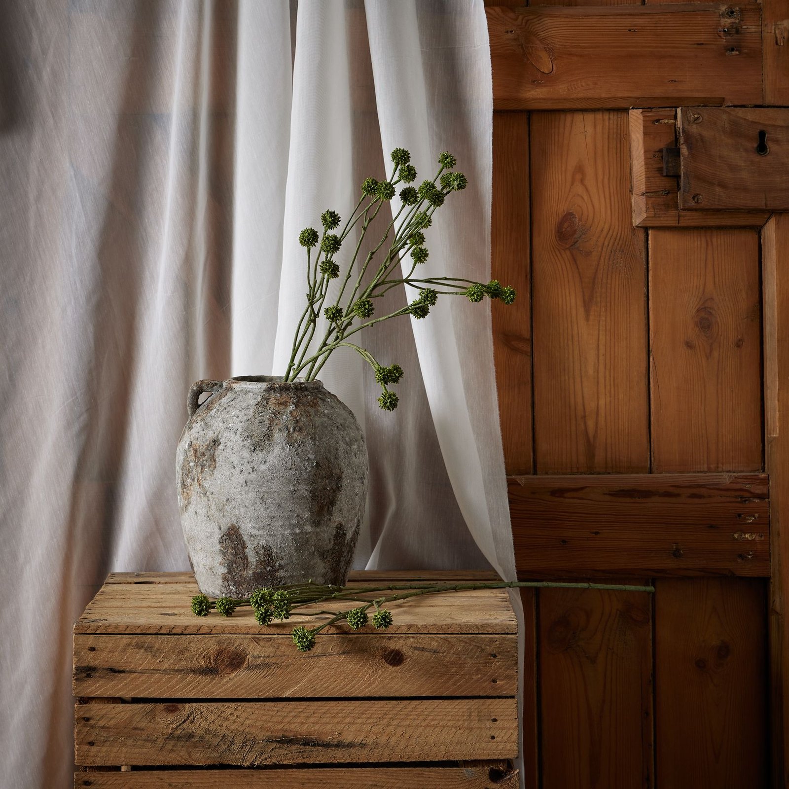 Green Craspedia Stem - Image 3