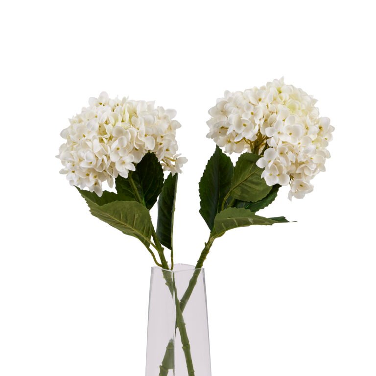 white white hydrangea stem
