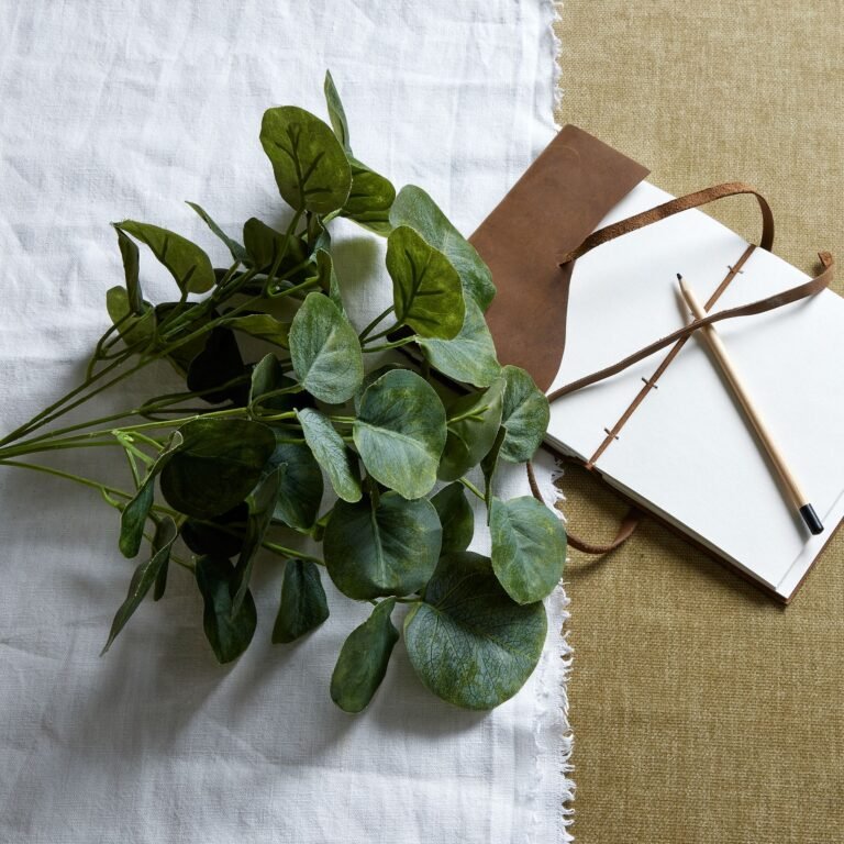 natural short eucalyptus bunch