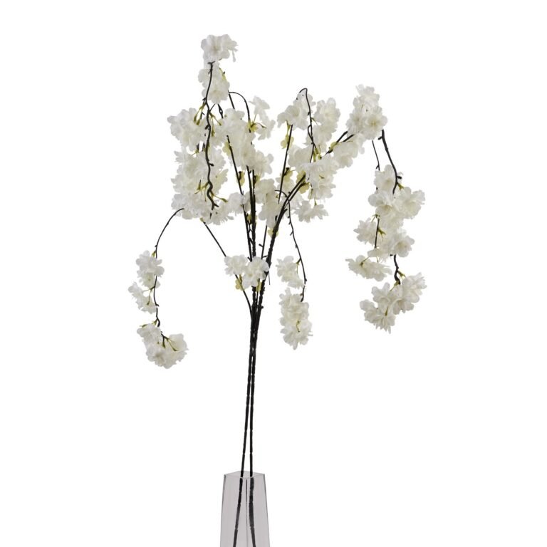 white large white cherry blossom stem