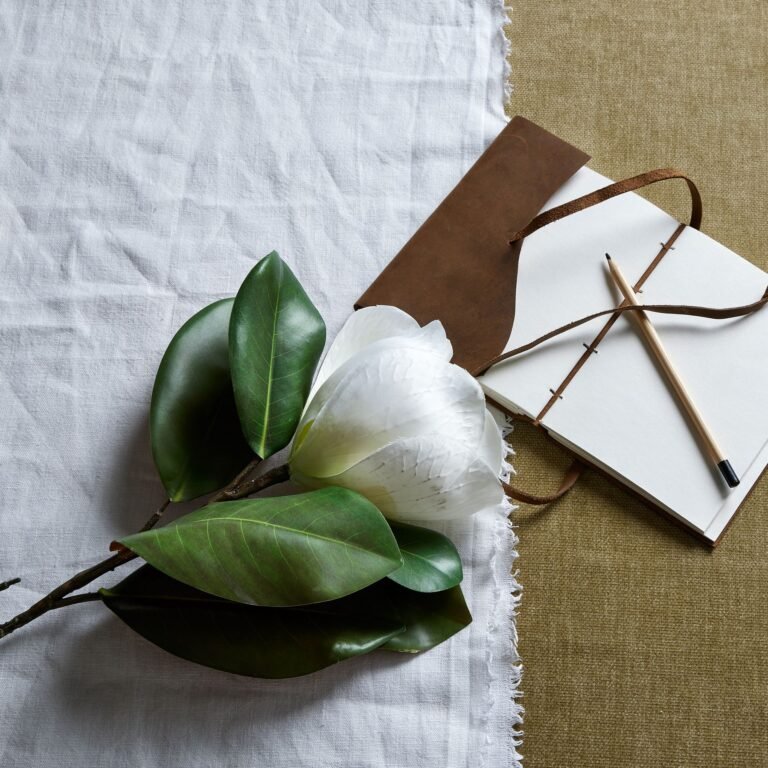 white white magnolia stem product image