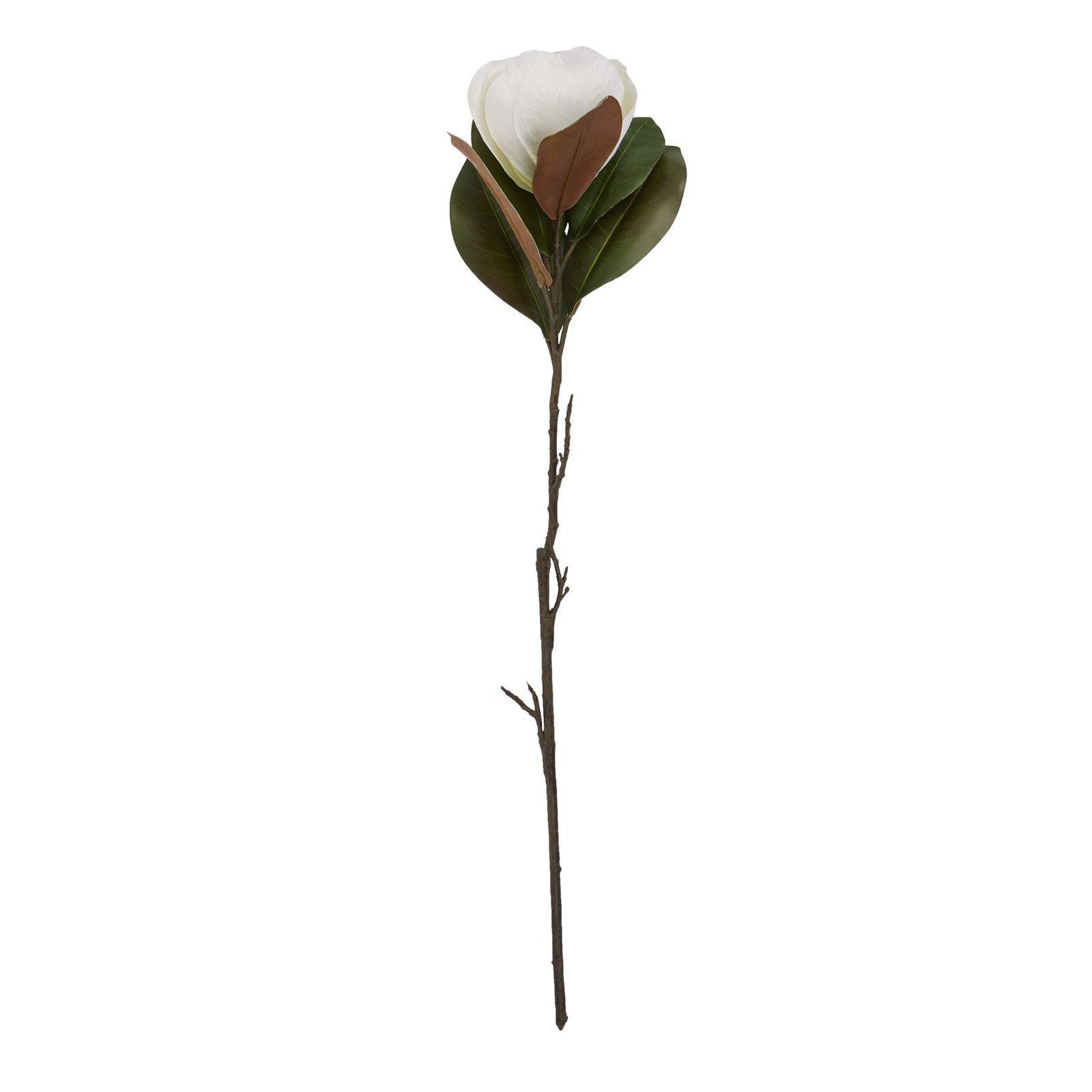 Soft White Magnolia Stem - Image 4