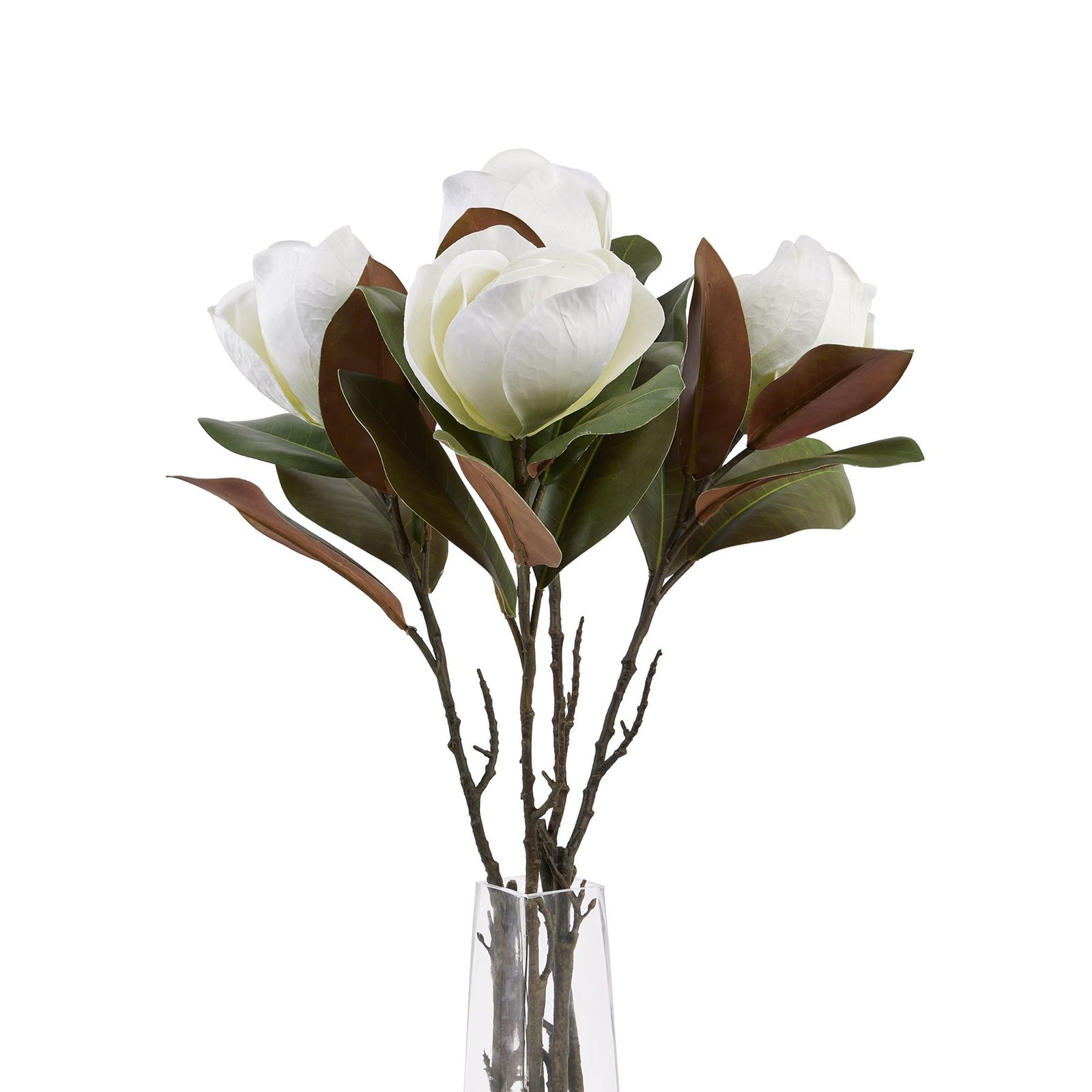Soft White Magnolia Stem - Image 5