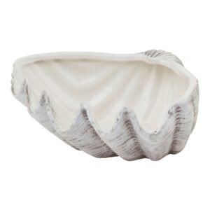 natural siren medium ceramic shell bowl