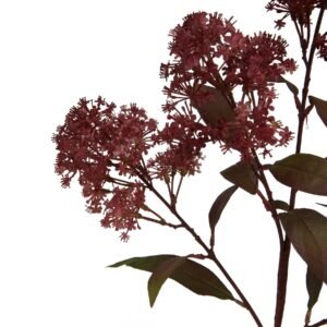Burgundy Artificial Smokebush Stem