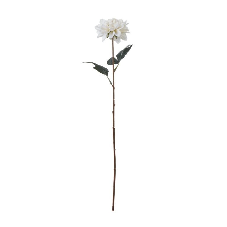 white tall white dahlia