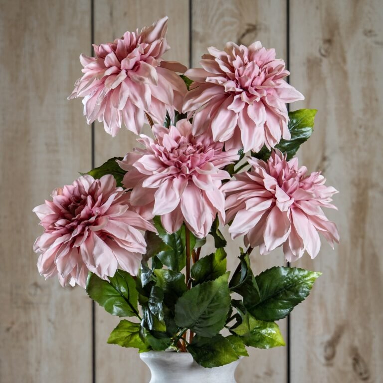 pink pink dahlia