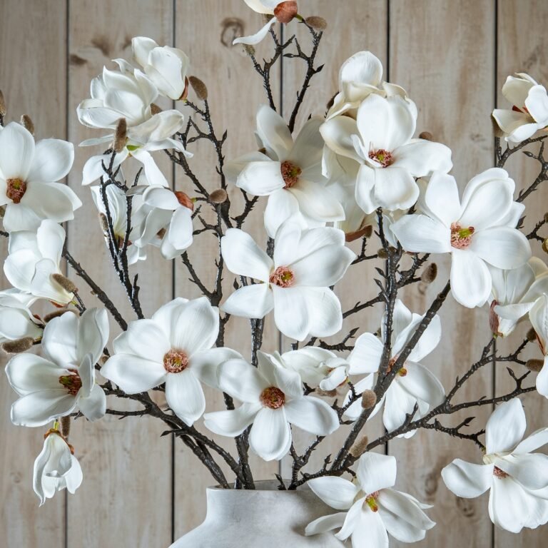 white white magnolia stem