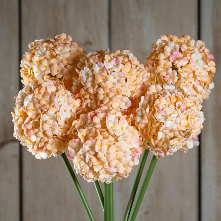 white white apricot allium