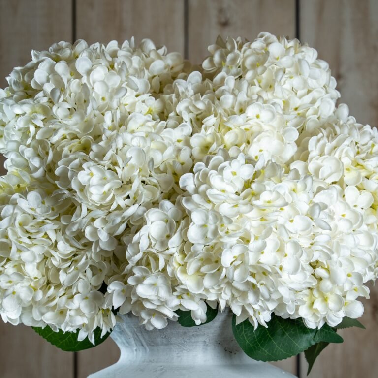 white white allium