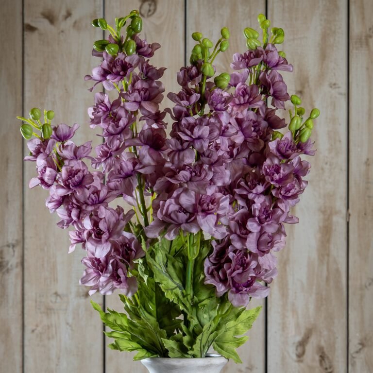 purple purple elatum delphinium