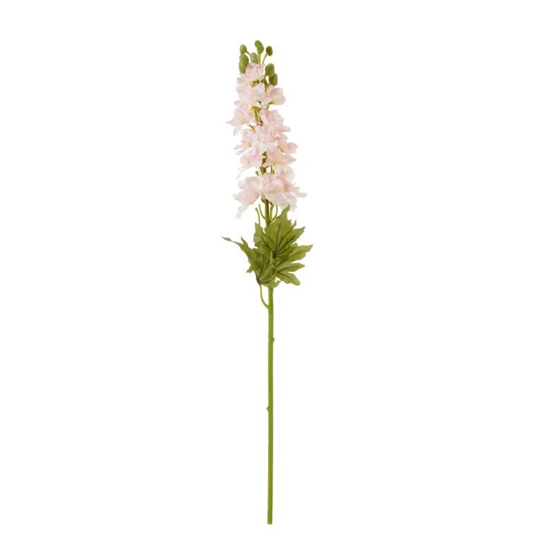 pink pink elatum delphinium