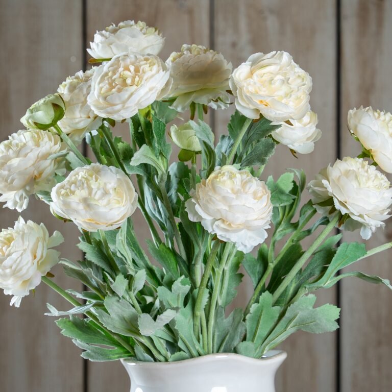 white white ranunculus