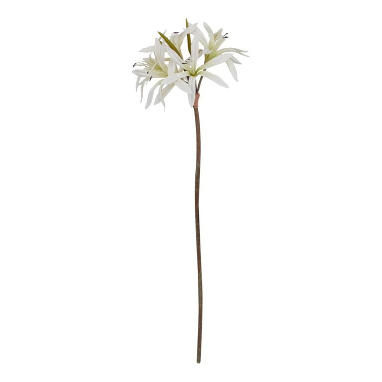 white white nerine lily stem