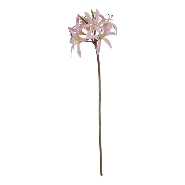 pink pink lily stem
