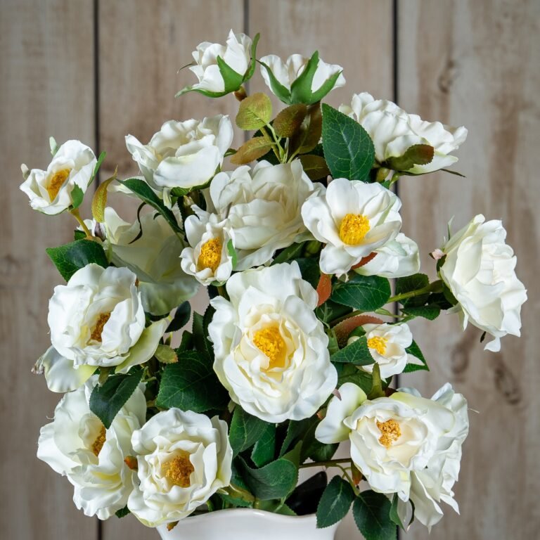 white white tea rose