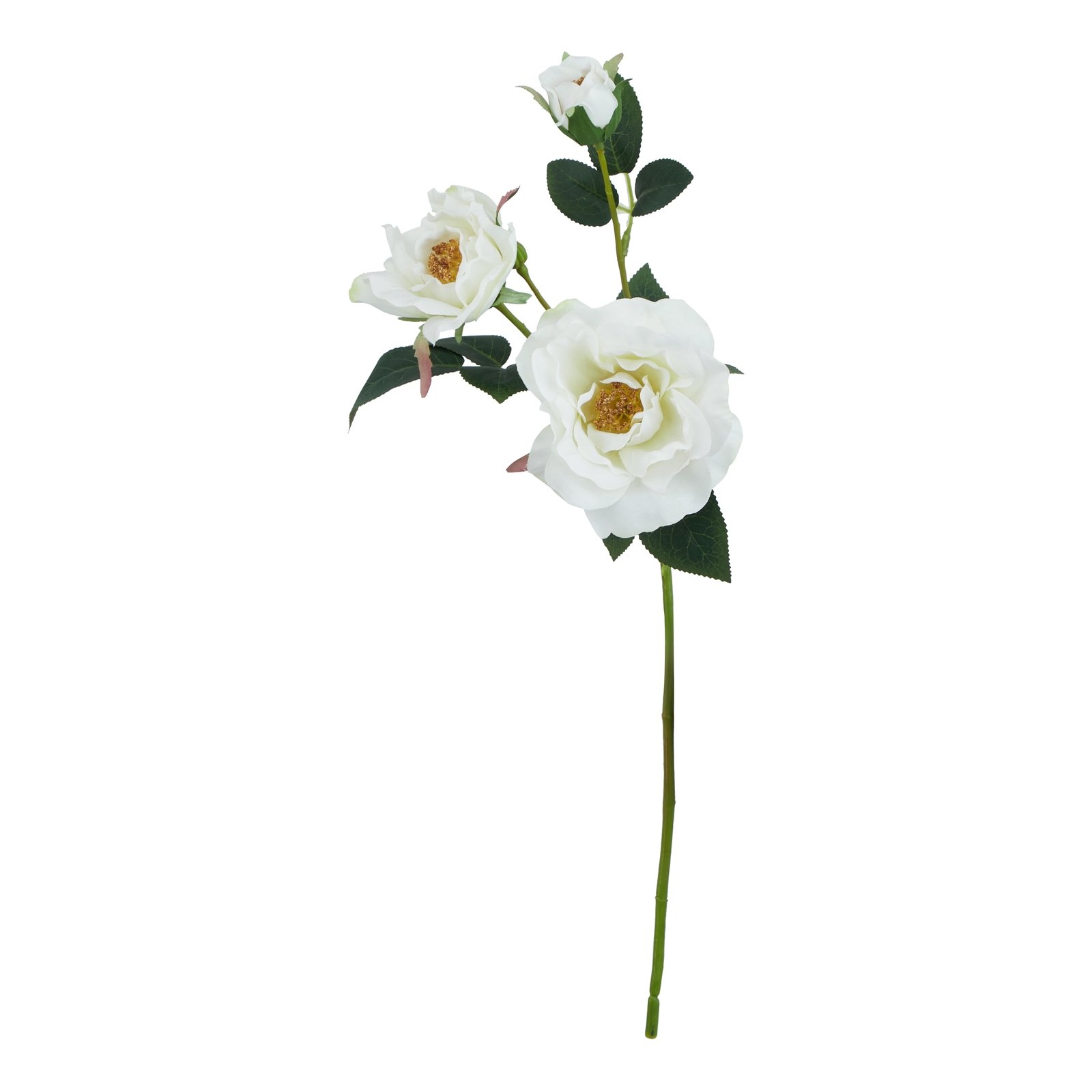 White Tea Rose - Image 3