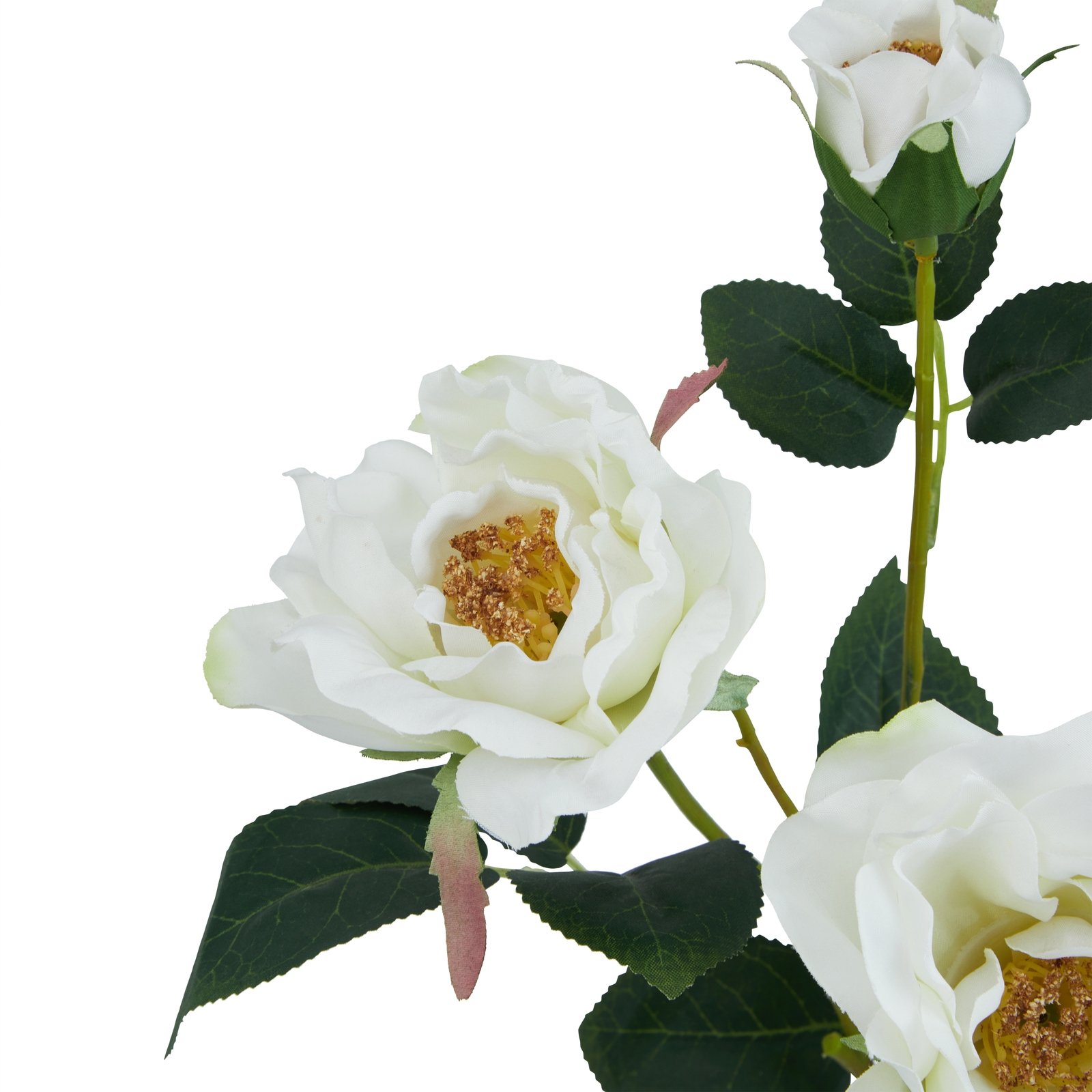 White Tea Rose - Image 4