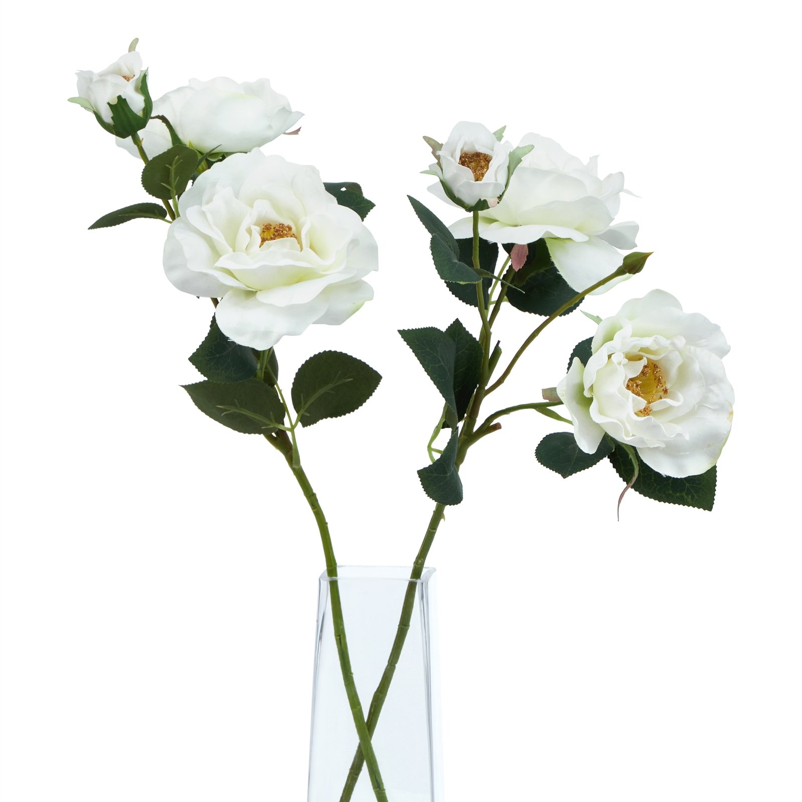 White Tea Rose - Image 5