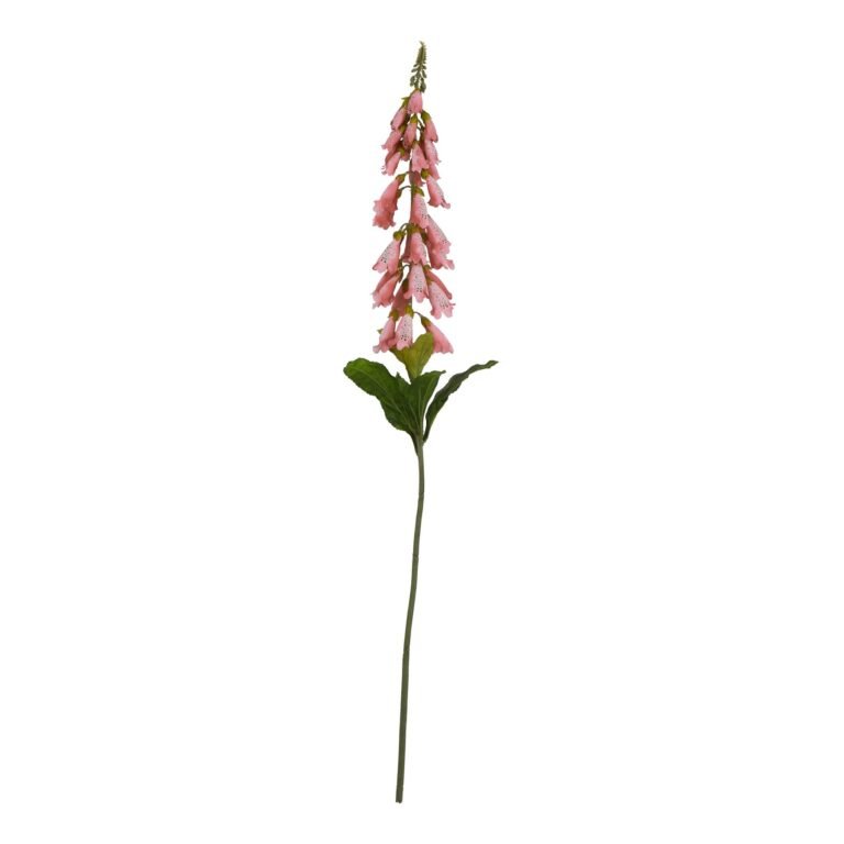 pale pink pale pink foxglove
