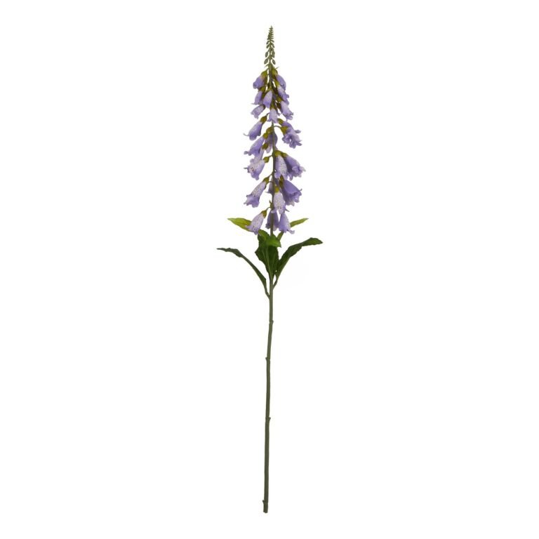 mauve mauve foxglove