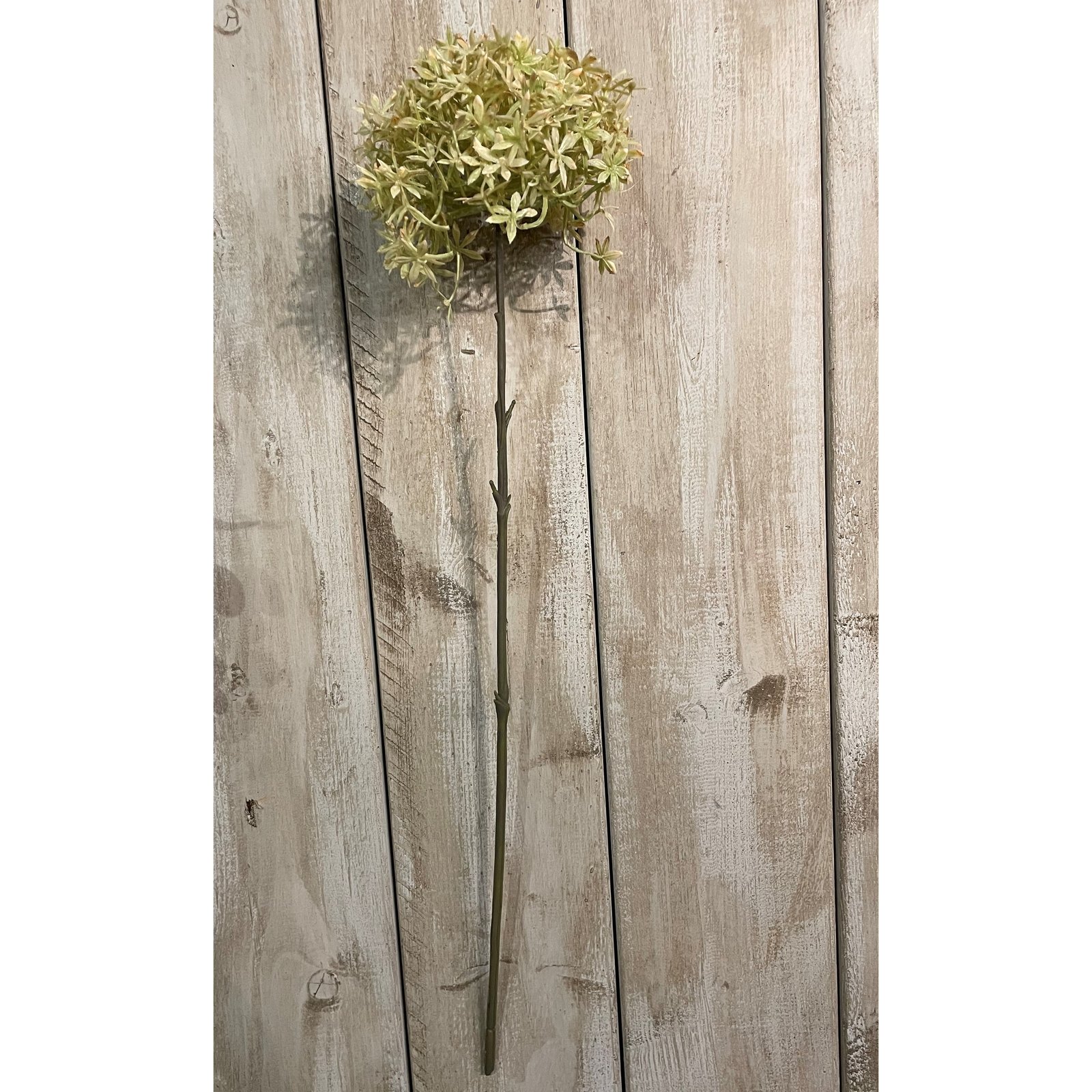 Coffee Green Faux Allium Flower - Image 2