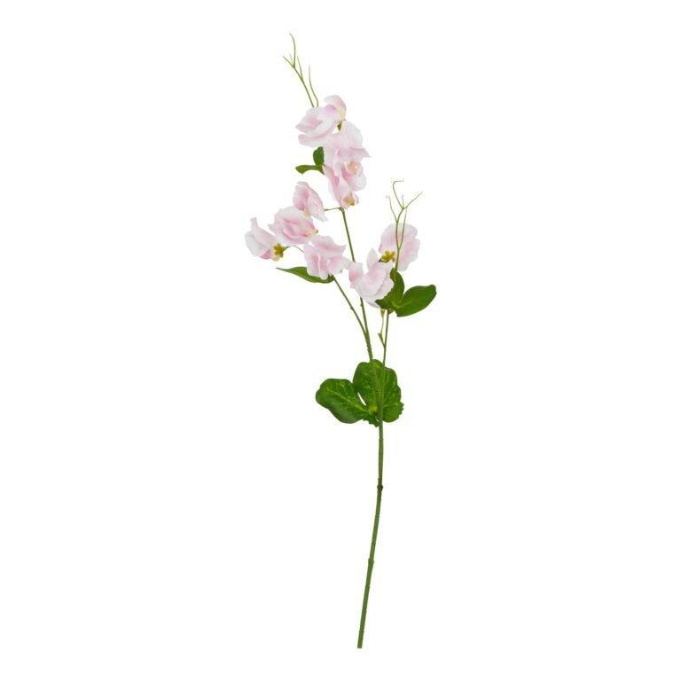 pale pink pale pink sweetpea stem