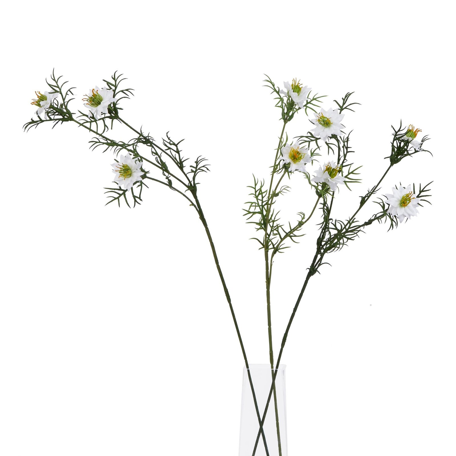 White Nigella Love In A Mist - Image 3
