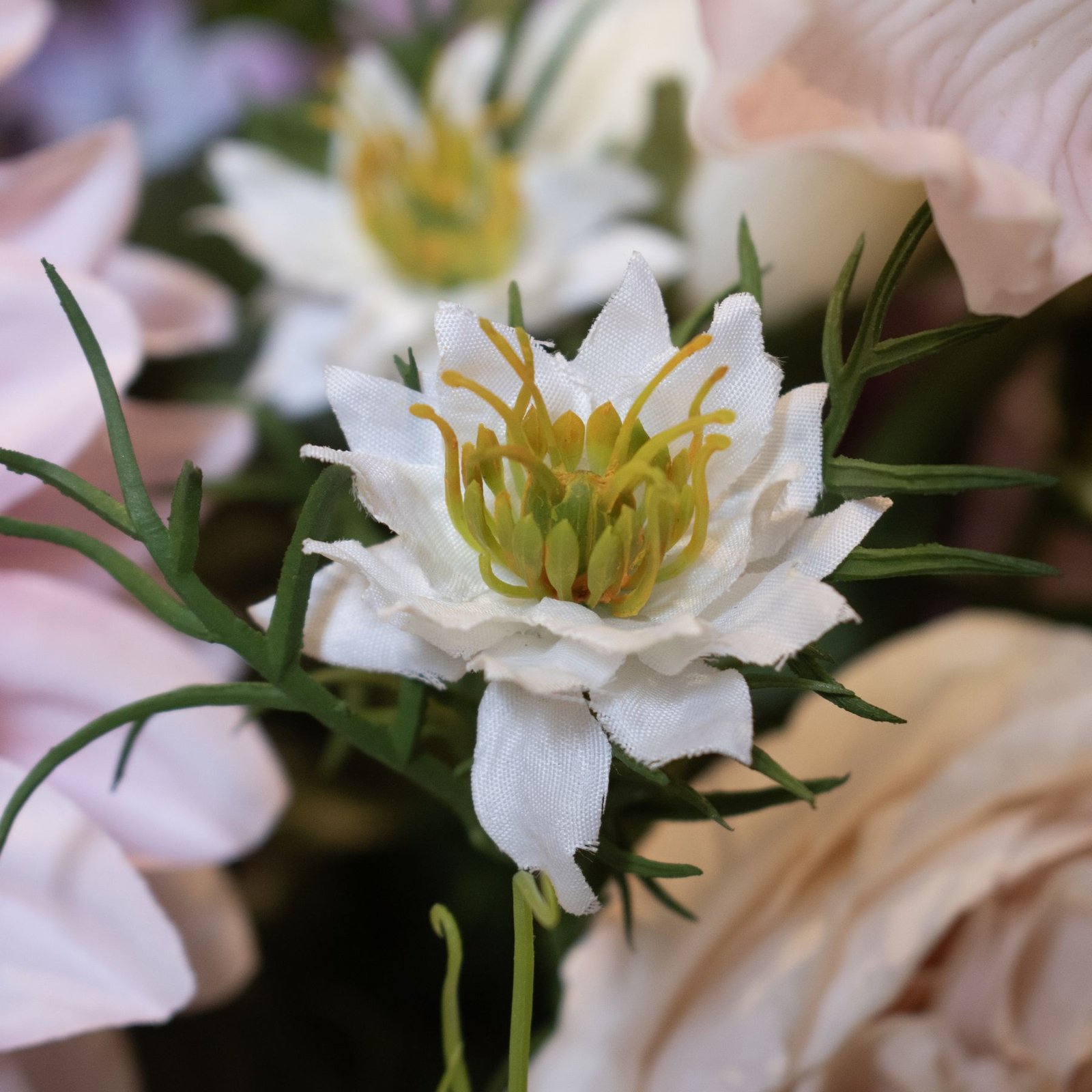 White Nigella Love In A Mist - Image 4