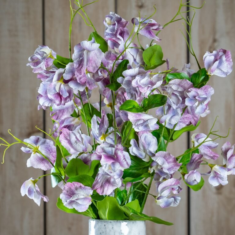 purple purple lilac stem