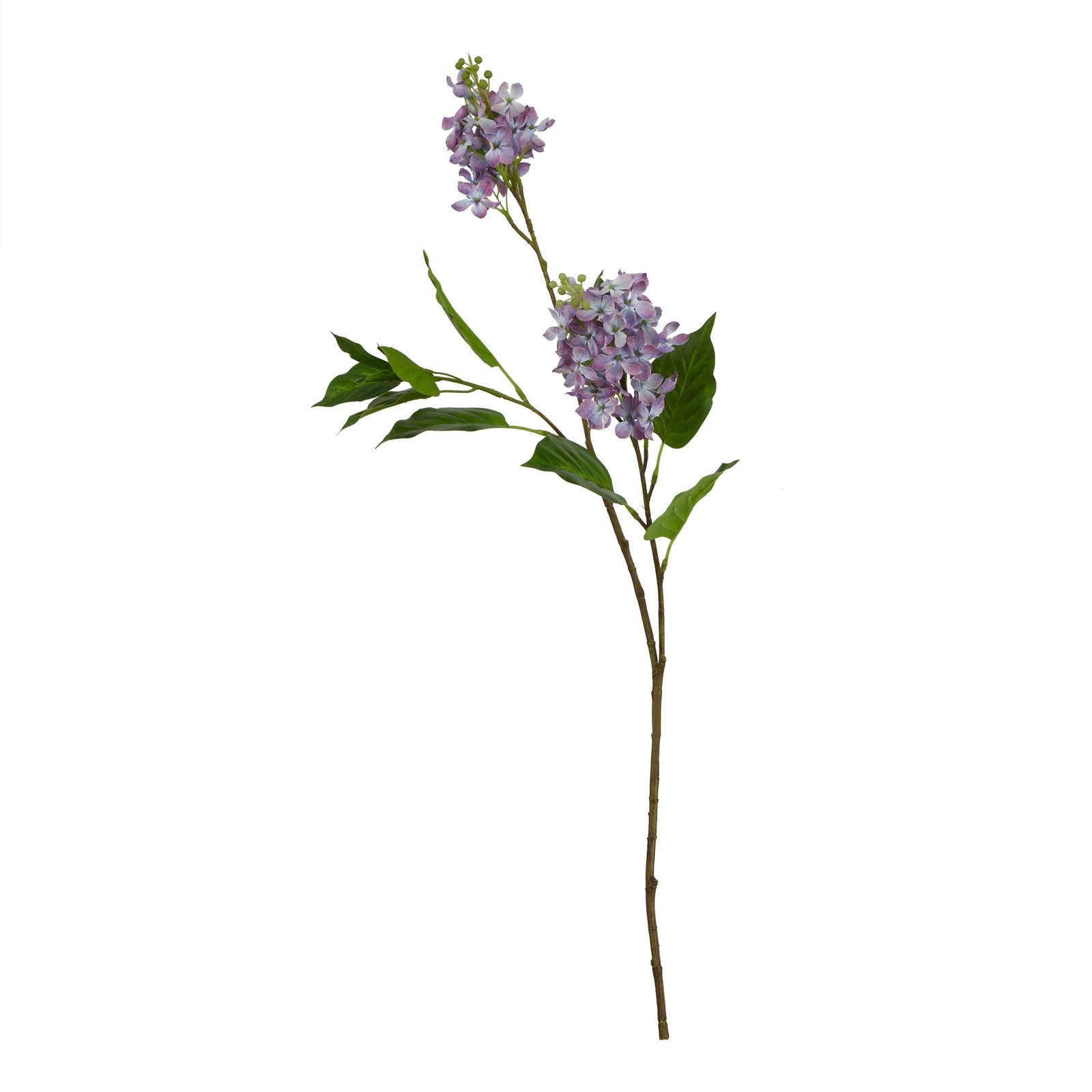 Purple Lilac Stem - Image 3