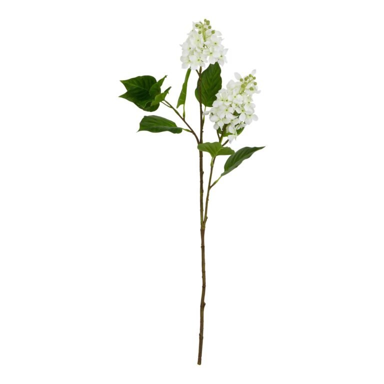 white white lilac stem