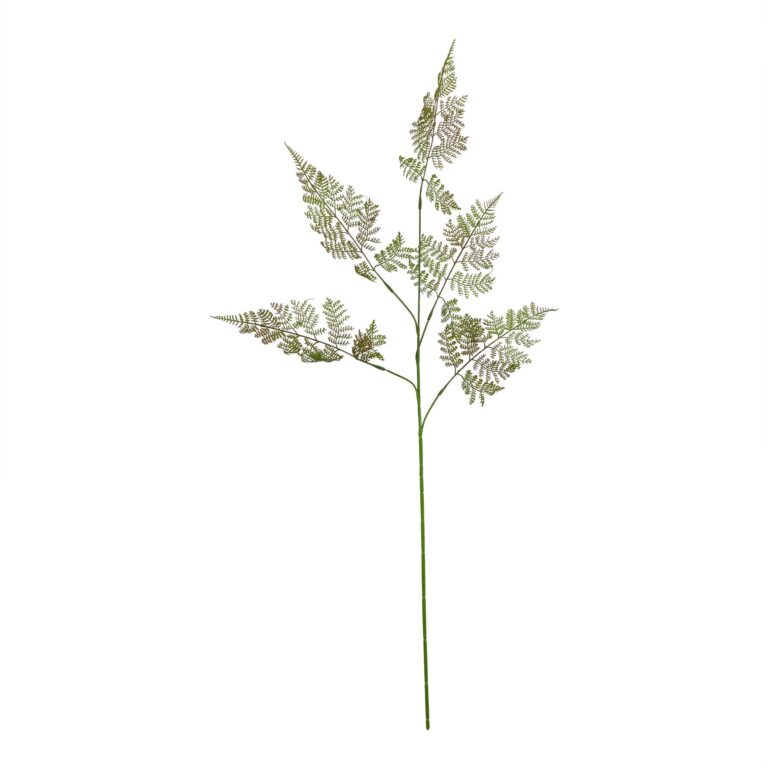 natural large bracken fern spray